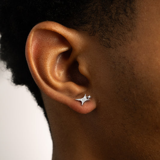 Iced Signature earrings argentées