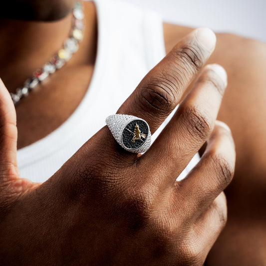 Iced Eagle signet ring argentée