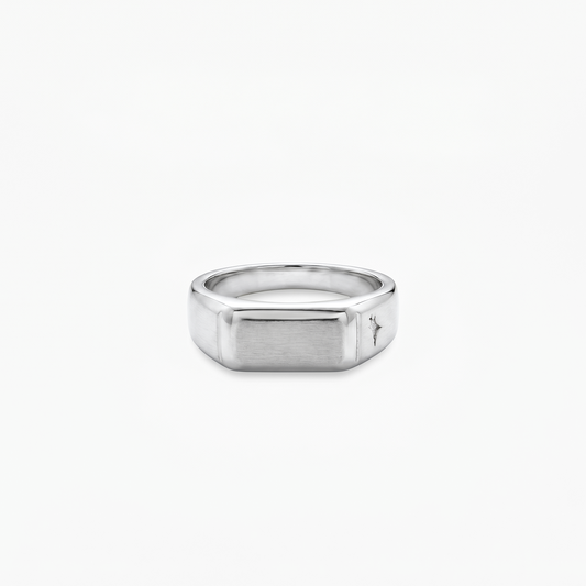 Silver ring signet