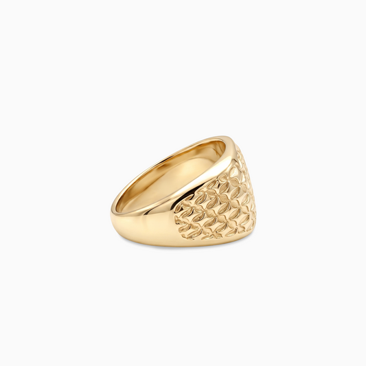 Starfield Square Signet ring - Dorée